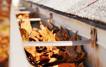 Articlave gutter cleaning companies