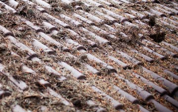 Articlave roof cleaning companies